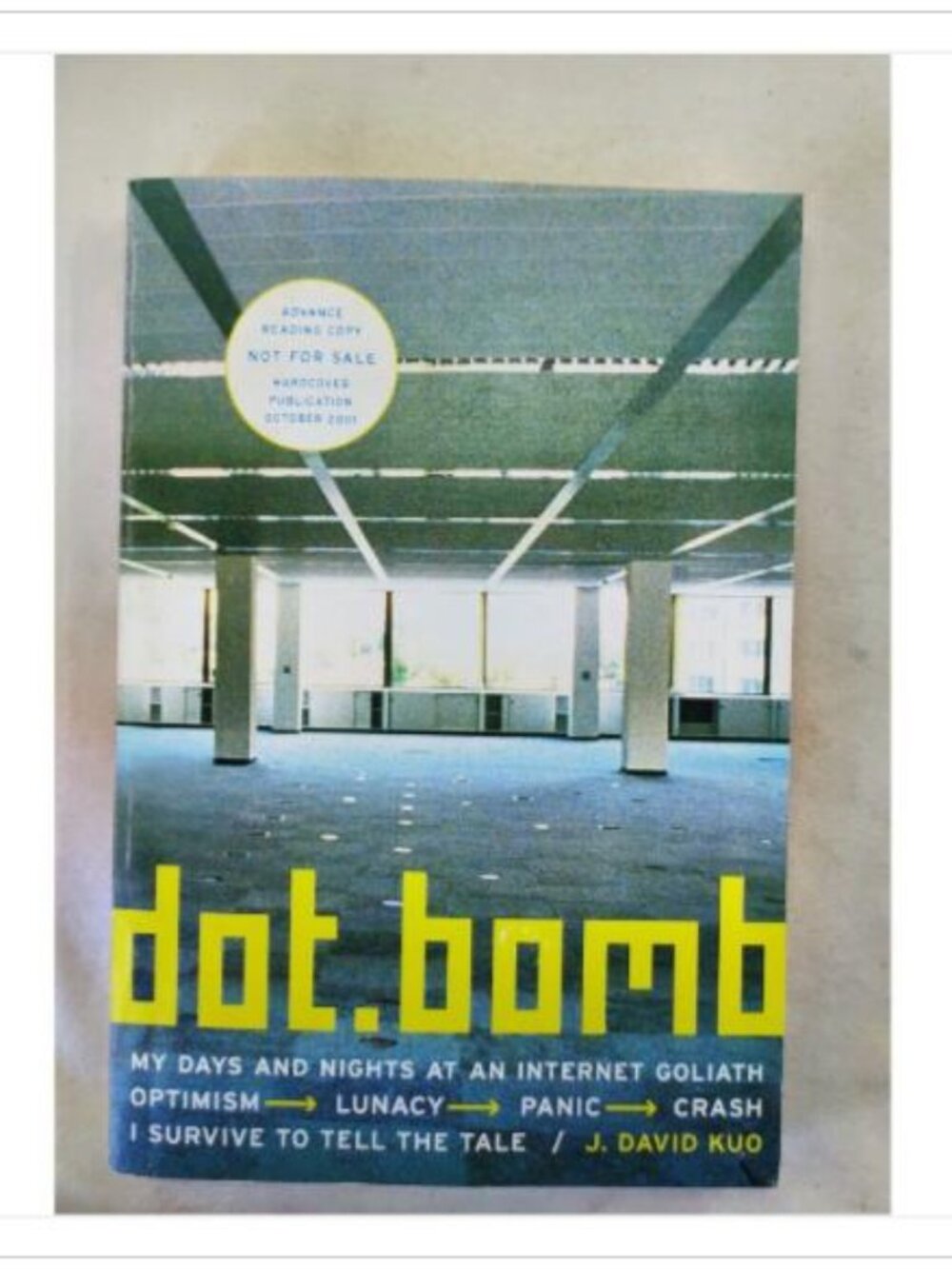 Dot Bomb My Days and Nights at an Internet Goliath Cyber Business ARC 2001 PB